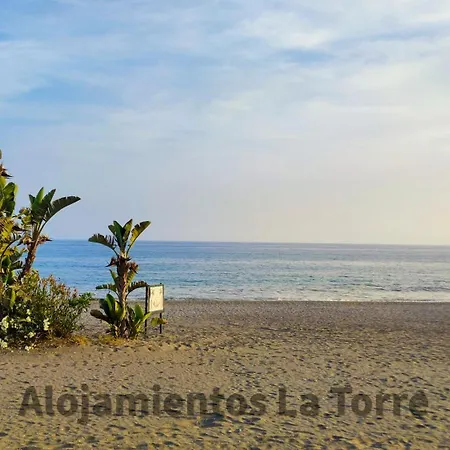 Laguna Pool - La Torre Apartment Torrox