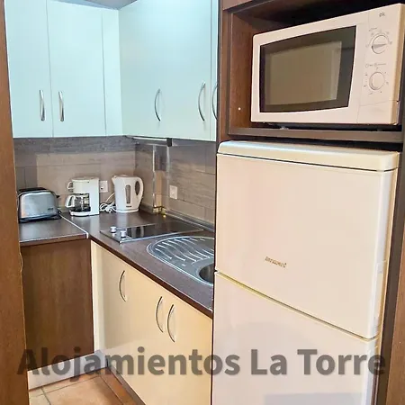 Laguna Pool - La Torre * Torrox